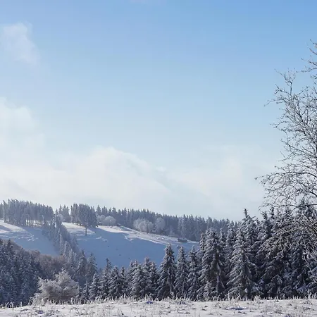 Σπίτι διακοπών Ferienhauspark Hasselfelde