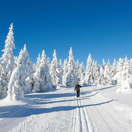 Σπίτι διακοπών Ferienhauspark Hasselfelde